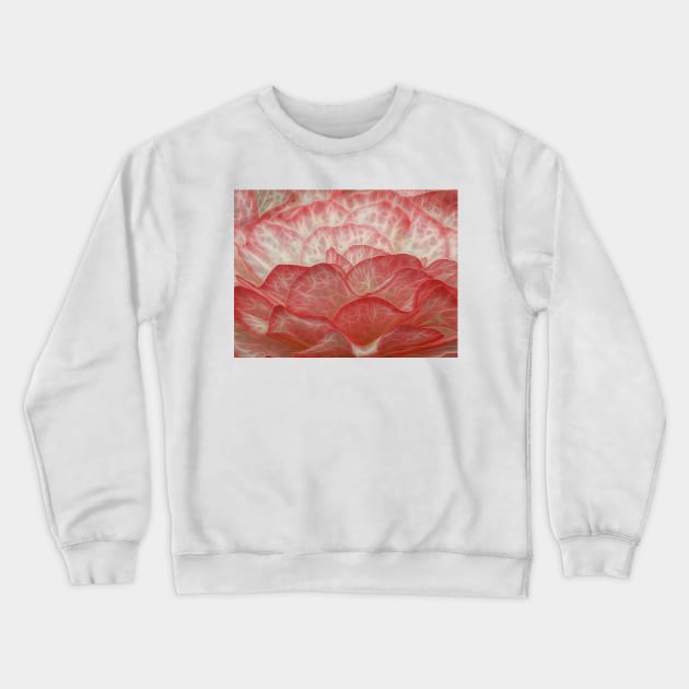 side view of frilly white and red edged begonia plant in closeup glowing to show petal veins Crewneck Sweatshirt by mister-john